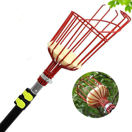 Fruit Picker - Improve Center