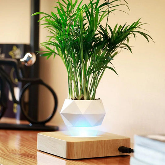 Magnetic Suspension Planter - Improve Center