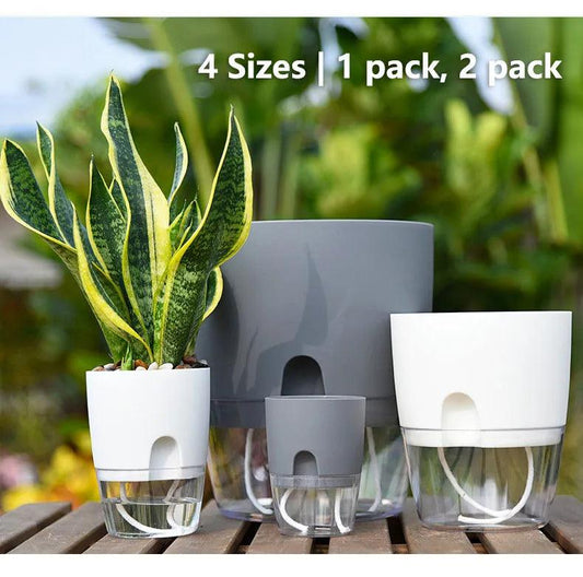 Self-Watering Flower Pot - Improve Center