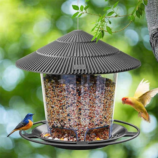 Outdoor Bird Feeder with Multiple Holes - Improve Center