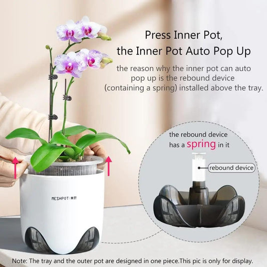 Double Layer Plant Container - Improve Center