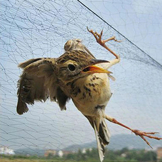 Pond Net for Bird Control - Improve Center