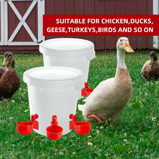 Chicken Drinking Cup - Improve Center