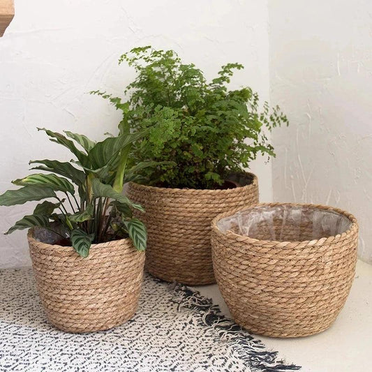 Grass Basket Flower Pot - Improve Center