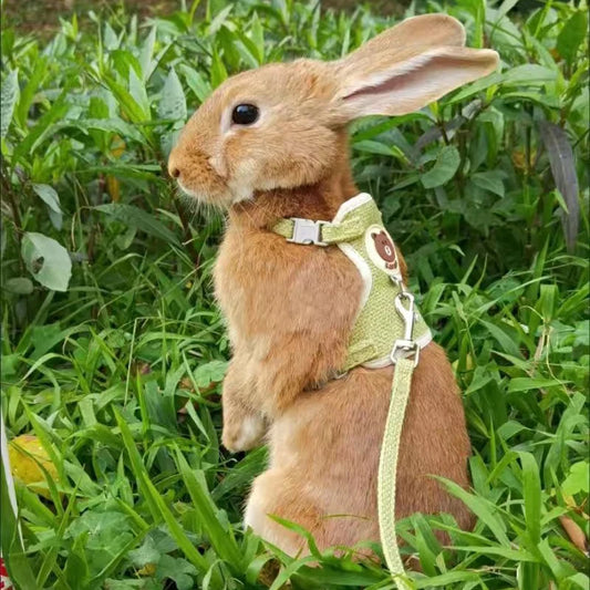 Newest Cute Rabbit Harness and Leash Set - Improve Center