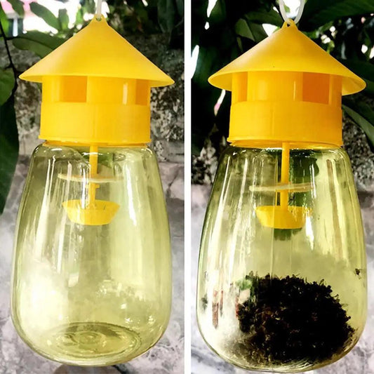 Fruit Fly Trap - Improve Center