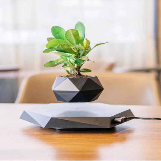 Magnetic Suspension Planter - Improve Center