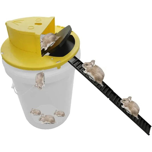 Automatic Mouse Trap - Improve Center