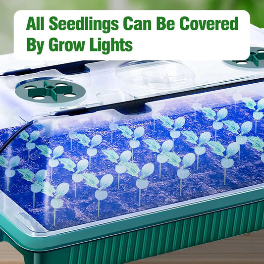 Smart Timer Grow Light Kit - Improve Center