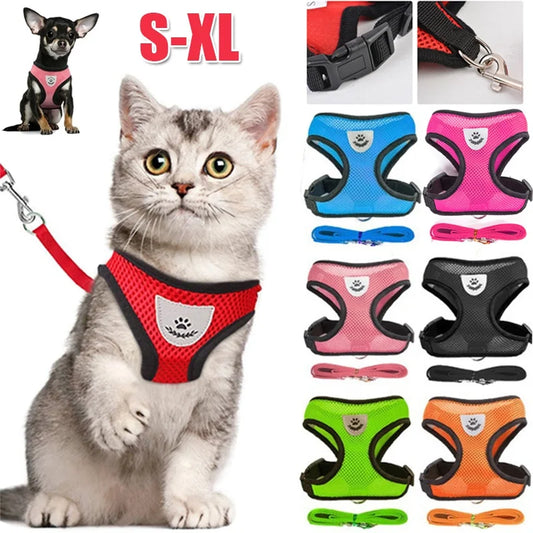 New Cat Harness - Improve Center