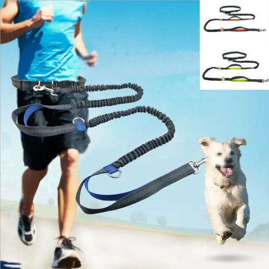 Reflective Leash Traction Rope - Improve Center