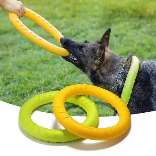 Pet Flying Disk Training Ring - Improve Center