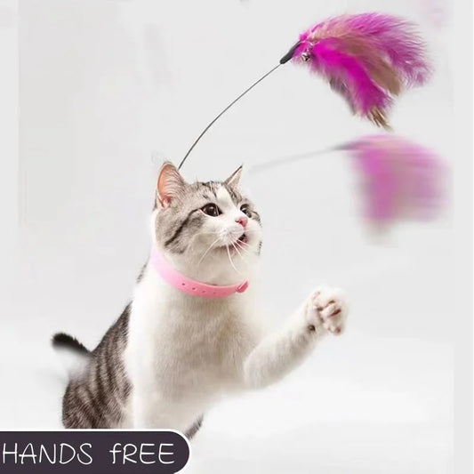 Pet Playing Teaser Wand Training Toys - Improve Center