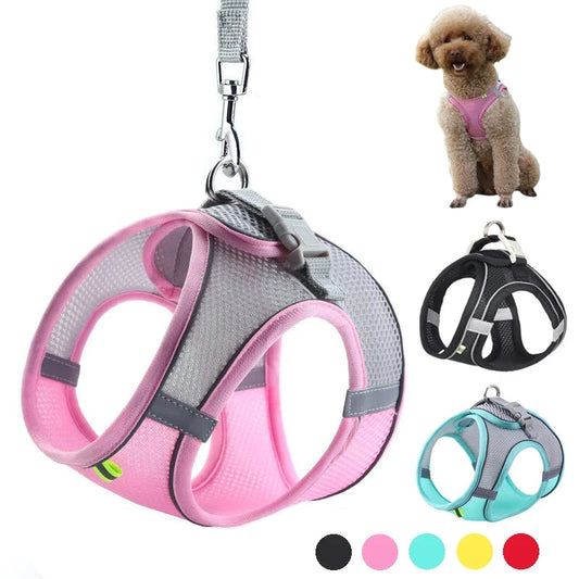 Dog Harness Leash Set - Improve Center