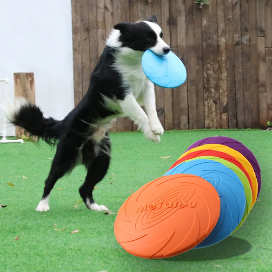 New Bite Resistant Flying Disc Toys - Improve Center