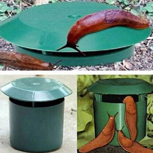 Plastic Snail Cage Trap - Improve Center