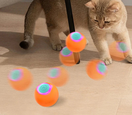 Cat Automatic Rolling Ball - Improve Center
