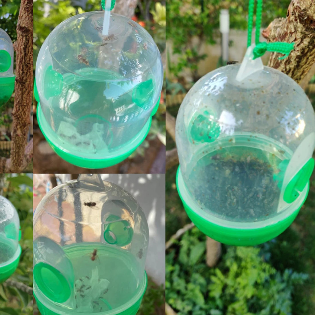 Wasp Trap for Garden