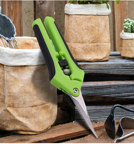 Pruning Shears - Improve Center