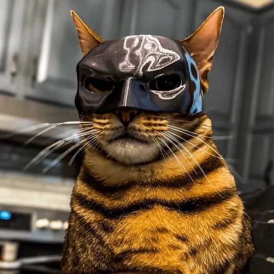 Cat Avenger Mask