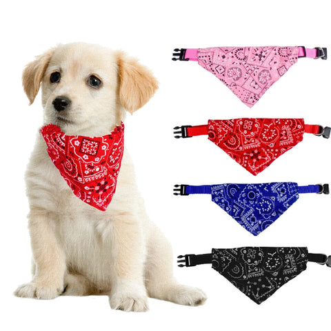 Pet Dog Neck Scarf - Improve Center