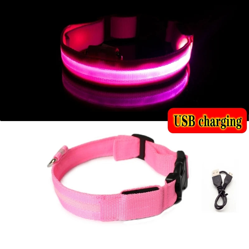 Led Dog Collar - Improve Center