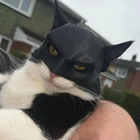 Cat Avenger Mask