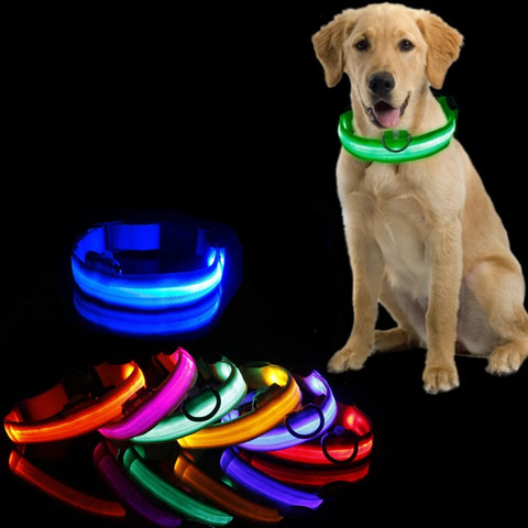 Led Dog Collar - Improve Center