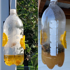 Flower Shape Insect Trap