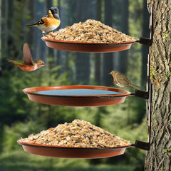 Tree-Mounted Bird Bath