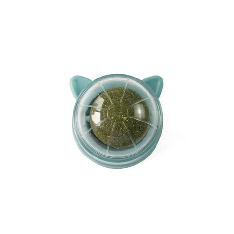 Cat Wall Ball Toy Treats - Improve Center