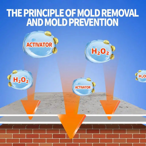 MoldGuard Pro™ Wall Mold Remover Spray