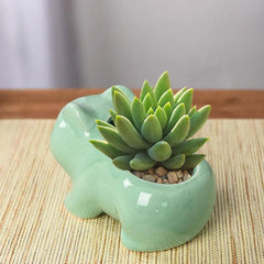 Mini Ceramic Planter