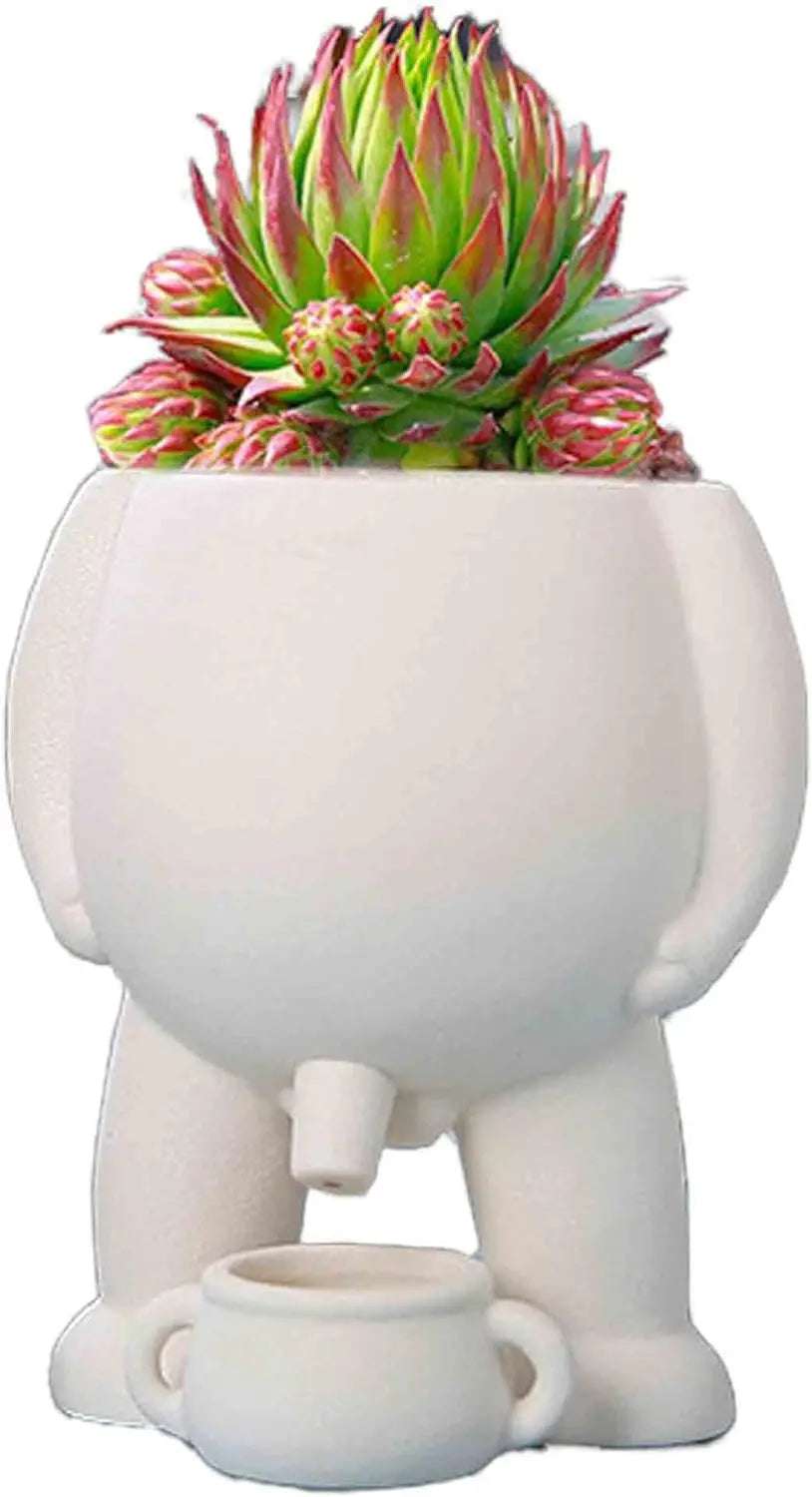 HumorPot Planter - Improve Center