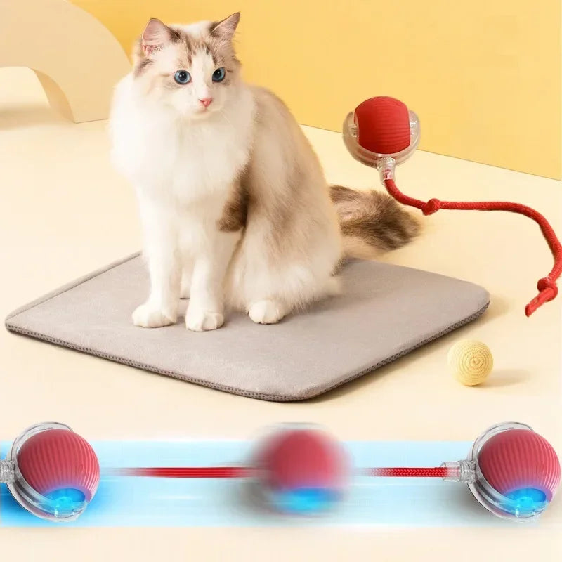 Cat Auto Rolling Ball With Tail