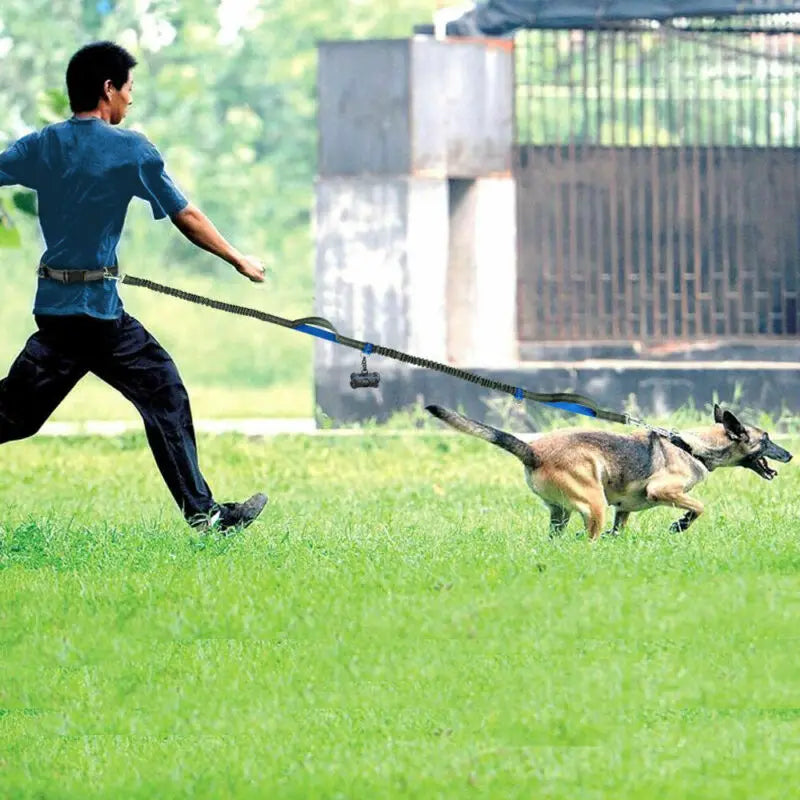 Reflective Leash Traction Rope