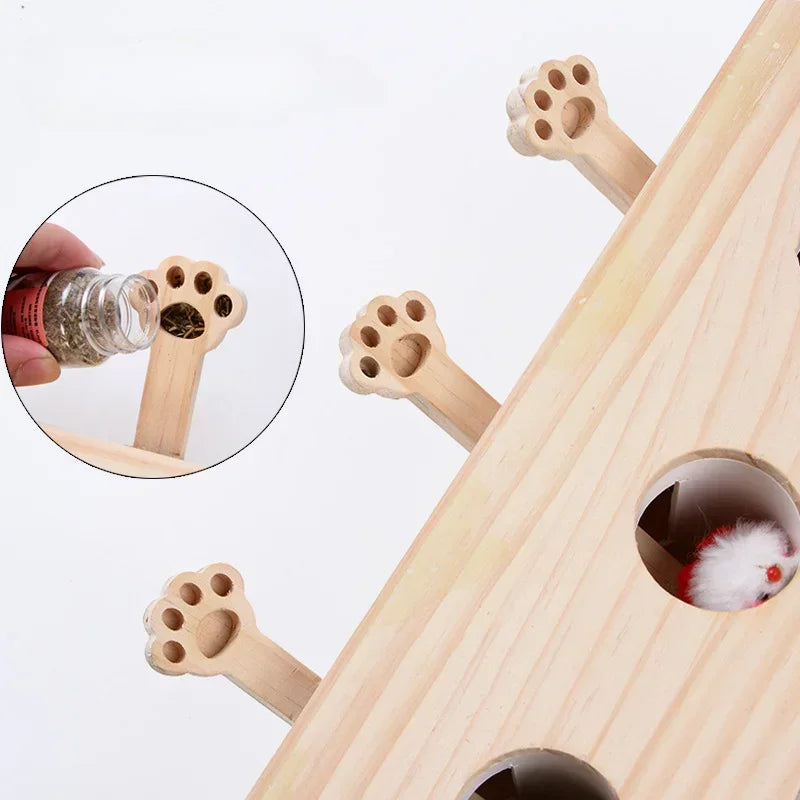 Interactive Wooden Maze