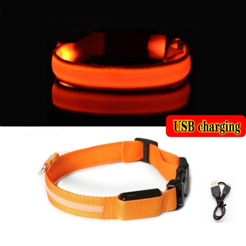 Led Dog Collar - Improve Center