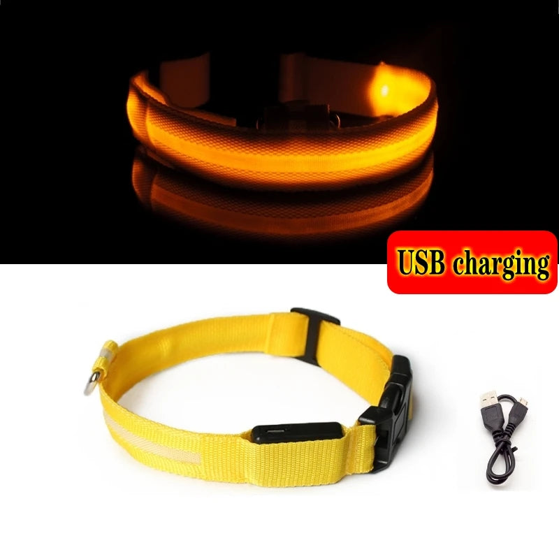 Led Dog Collar - Improve Center