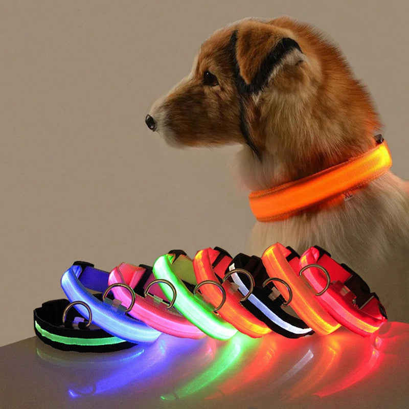 Led Dog Collar - Improve Center