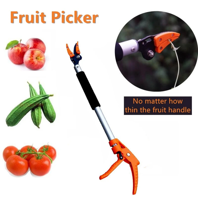 Tree Pruning Shears