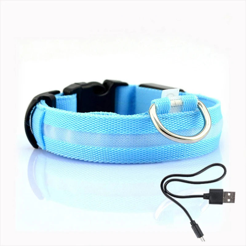 Led Dog Collar - Improve Center