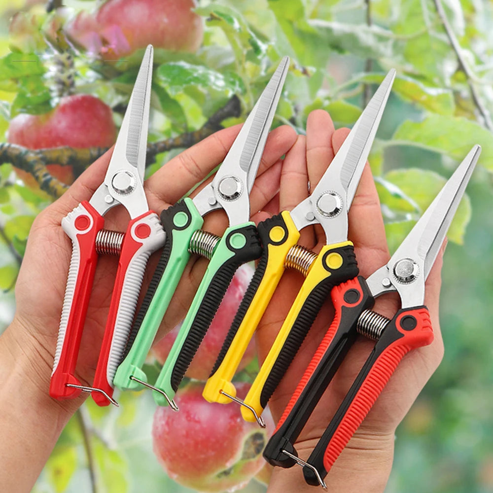 Garden Scissors