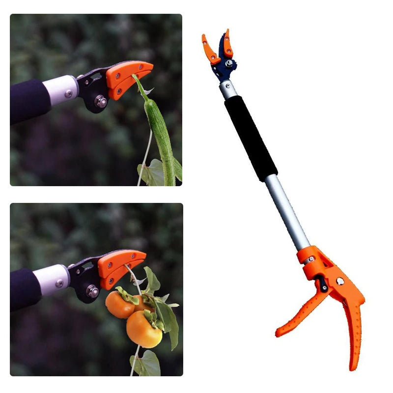 Tree Pruning Shears