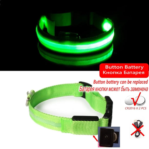 Led Dog Collar - Improve Center