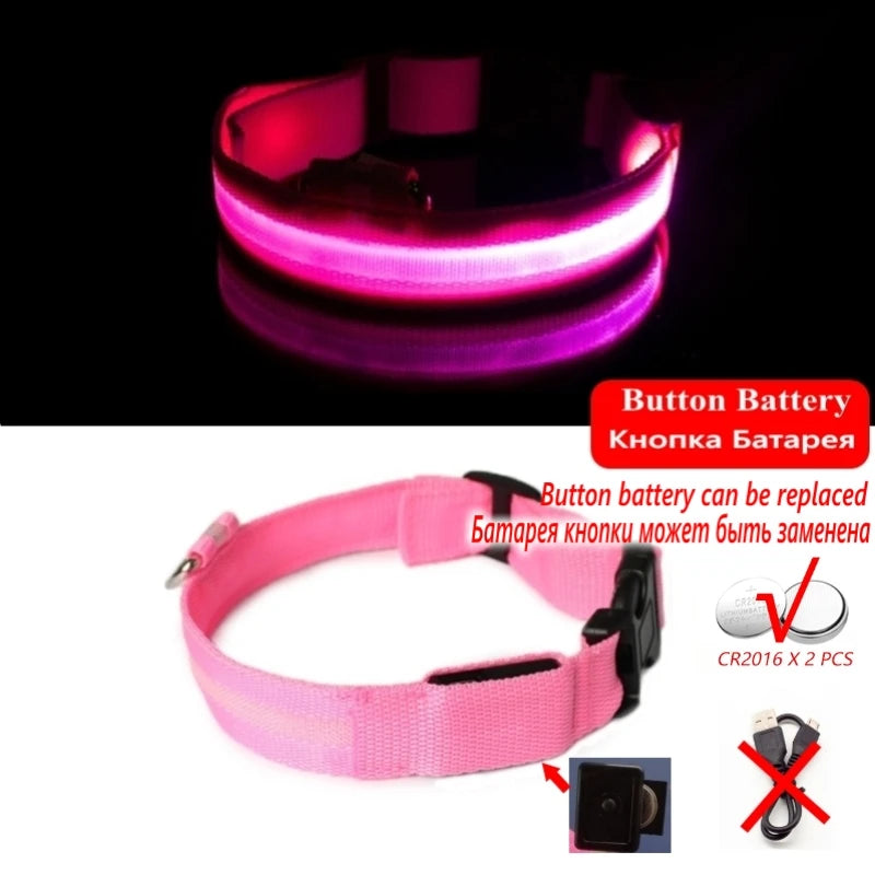 Led Dog Collar - Improve Center