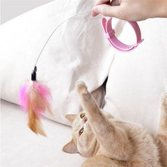 Pet Playing Teaser Wand Training Toys