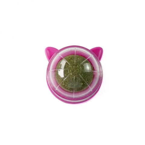 Cat Wall Ball Toy Treats - Improve Center