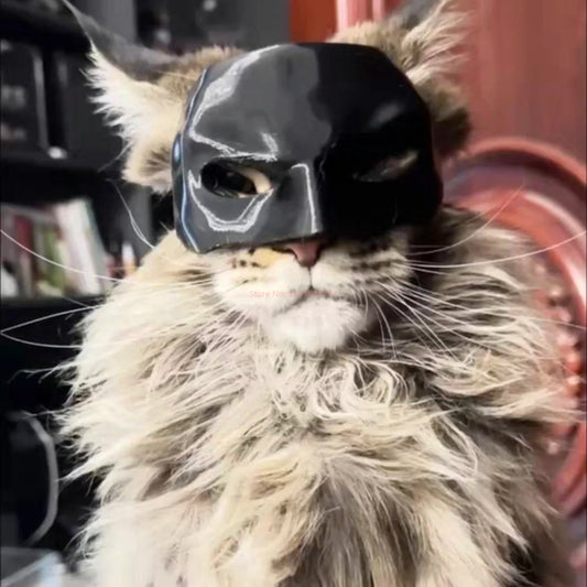 Batman Cat Mask - Improve Center