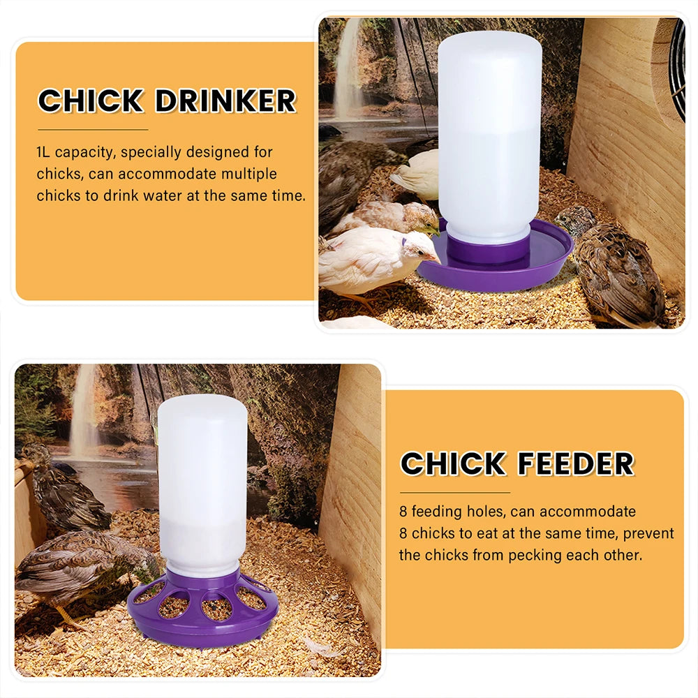 Automatic Chick Drinker Bucket